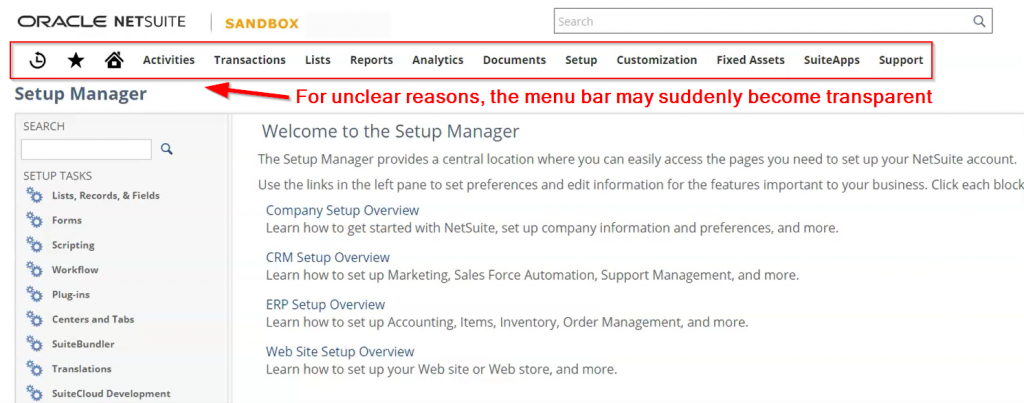 NetSuite Transparent Menu Bar Illustrated