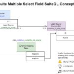 NetSuite Multiple Select Field Concepts
